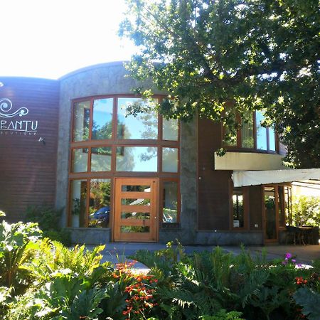 Cocurantu Hotel Boutique Pucon Bagian luar foto