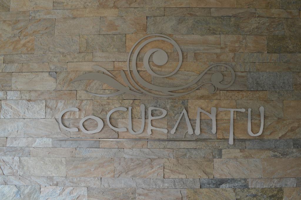 Cocurantu Hotel Boutique Pucon Bagian luar foto